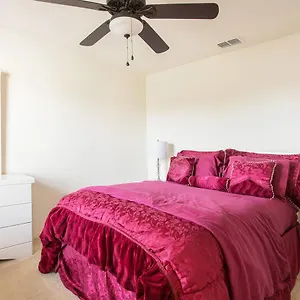 Modern 4 Bedroom House With Swimming Pool Holiday home Clearwater